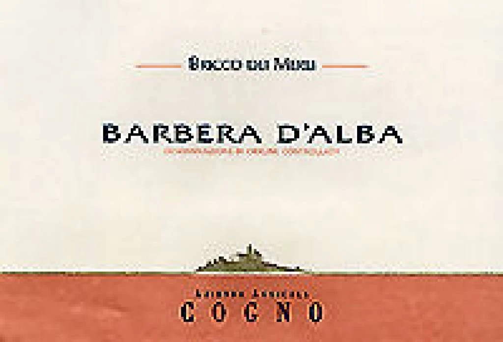 Elvio Cogno 2010 Elvio Cogno Bricco Dei Merli Barbera D'Alba 4 Elvio Cogno 2010 Elvio Cogno Bricco Dei Merli Barbera D'Alba - Image 2