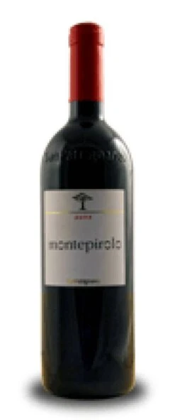 San Patrignano Montepirolo 1999 SanPatrignano Montepirolo Rosso Del Rubicone